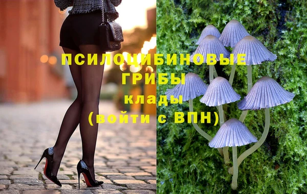 гидропоника Арсеньев