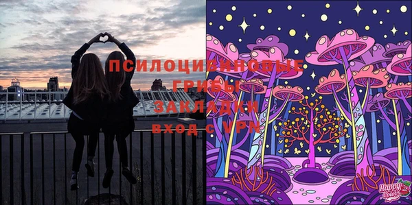крисы Армянск